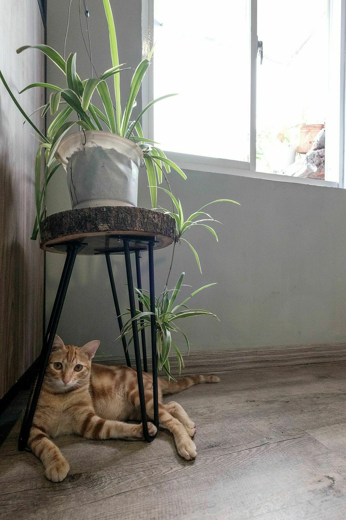 Saigon Inner Home Thành Pho Ho Chí Minh Esterno foto